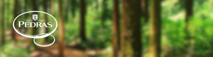 Imagem Pedras apoia três projetos de conservação da Natureza com a Quercus