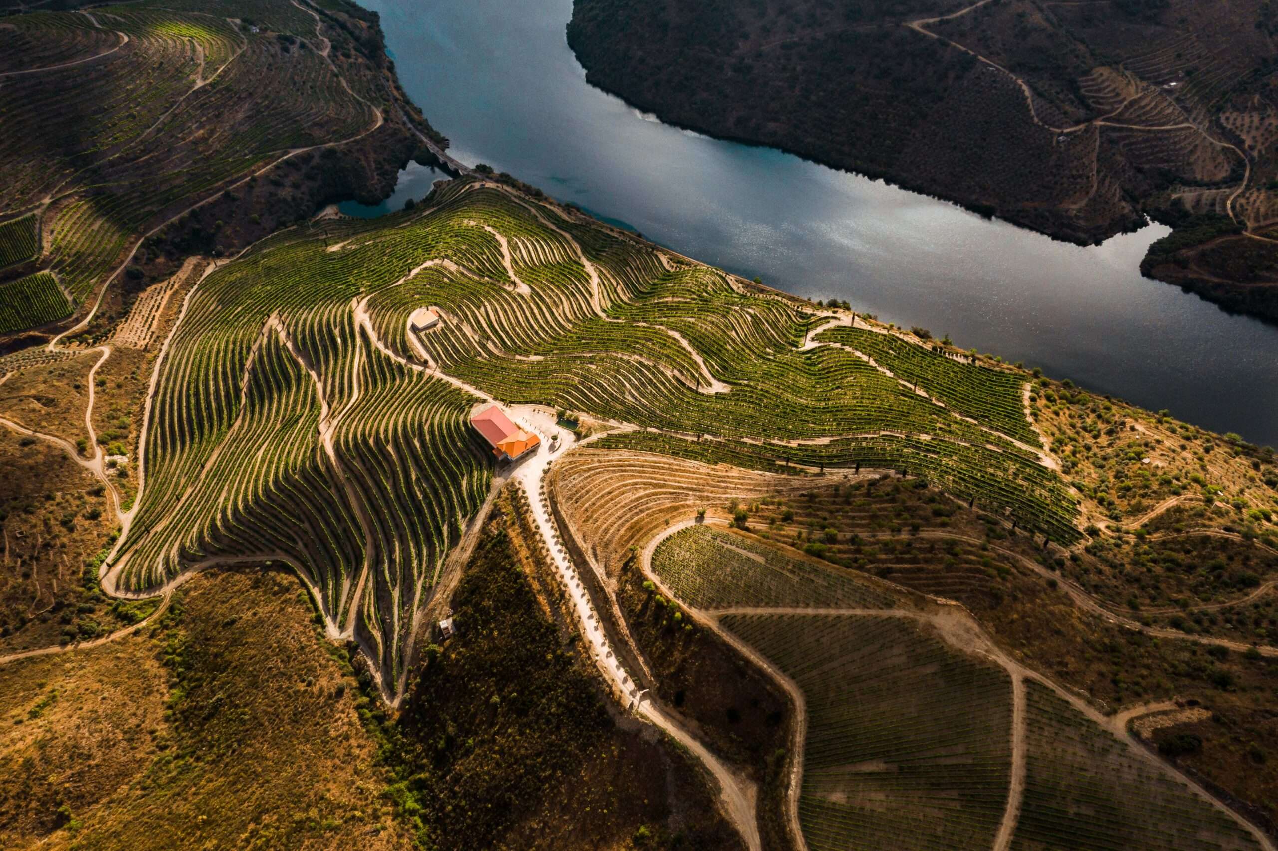 CASA ERMELINDA FREITAS